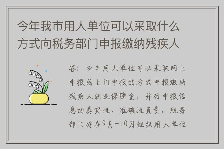 今年我市用人单位可以采取什么方式向税务部门申报缴纳残疾人就业保障金?