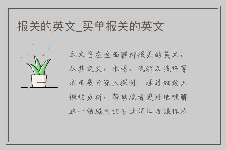 报关的英文_买单报关的英文