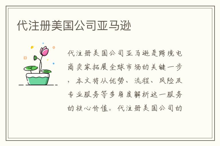 代注册美国公司亚马逊