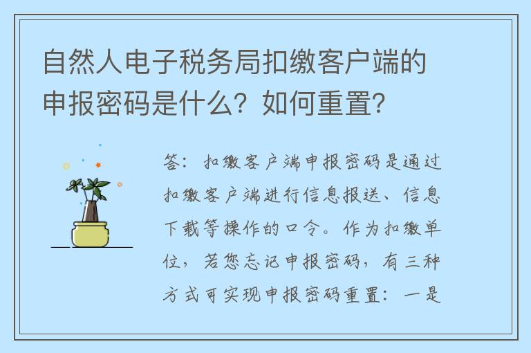 自然人电子税务局扣缴客户端的申报密码是什么？如何重置？